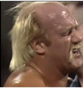 C:\Users\Shaun\Desktop\New folder\hogan 3rd\bearhugger\19.jpg