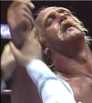 C:\Users\Shaun\Desktop\New folder\hogan 3rd\bearhugger\8.jpg