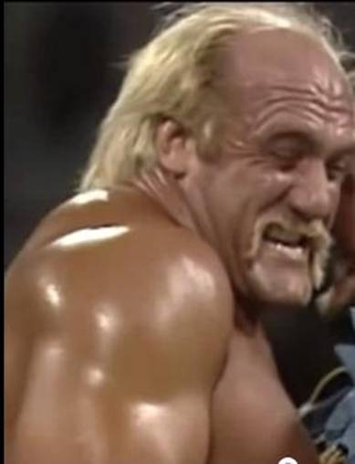 C:\Users\Shaun\Desktop\New folder\hogan 3rd\bearhugger\15.jpg