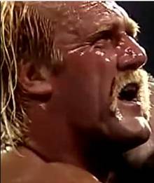 C:\Users\Shaun\Desktop\New folder\hogan 3rd\bearhugger\75.jpg