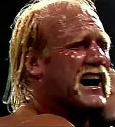 C:\Users\Shaun\Desktop\New folder\hogan 3rd\bearhugger\76.jpg