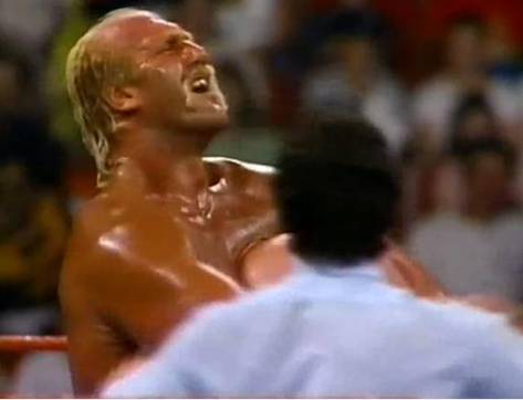 C:\Users\Shaun\Desktop\New folder\hogan 3rd\bearhugger\hogan3.jpg