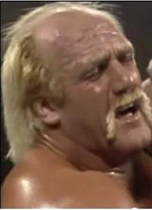 C:\Users\Shaun\Desktop\New folder\hogan 3rd\bearhugger\17.jpg